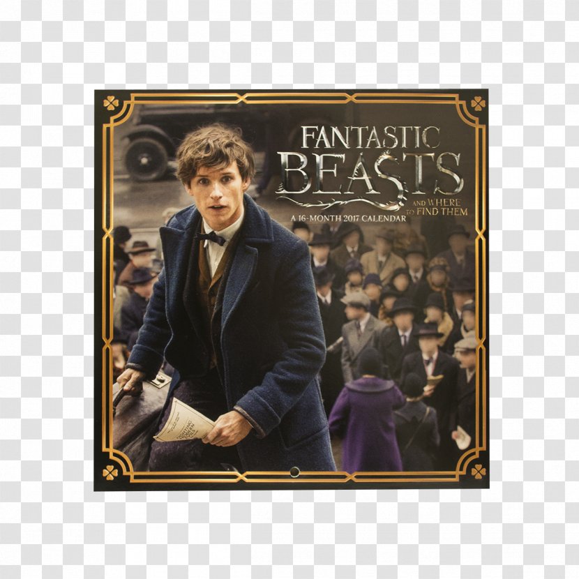 Fantastic Beasts And Where To Find Them Newt Scamander Quidditch Through The Ages Fictional Universe Of Harry Potter Transparent PNG