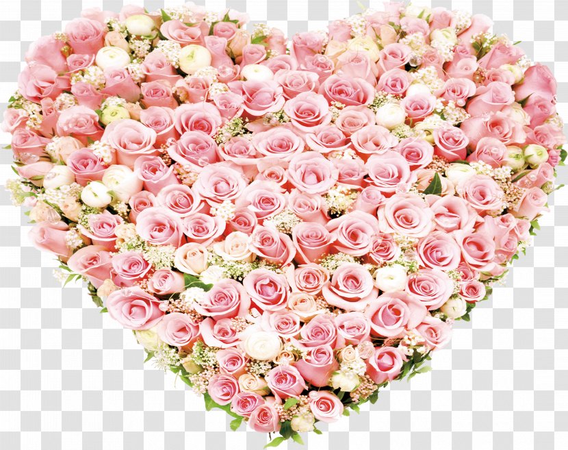 Garden Roses Beach Rose Heart Flower - Heart-shaped Flowers Transparent PNG