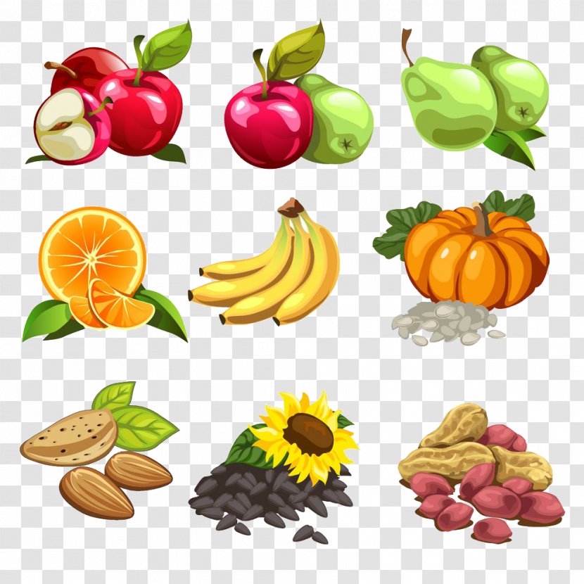 Nut Cartoon Fruit Illustration - Vegetarian Food - Banana Apple Pear Orange Pumpkin Sunflower Seeds Raw Transparent PNG