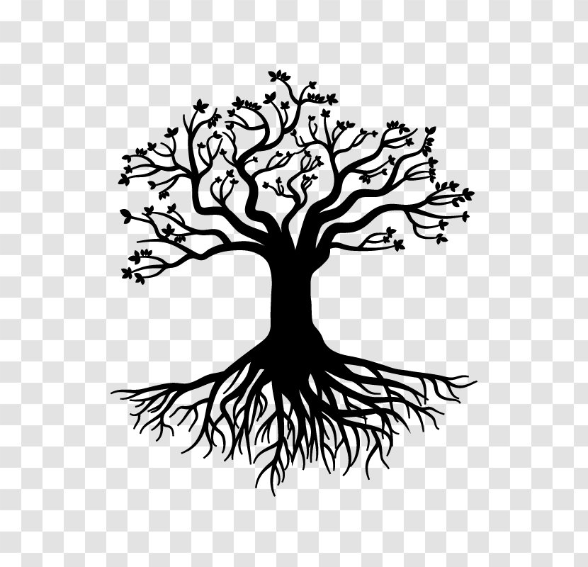 Root Tree Stock Photography Gratis - Artwork Transparent PNG