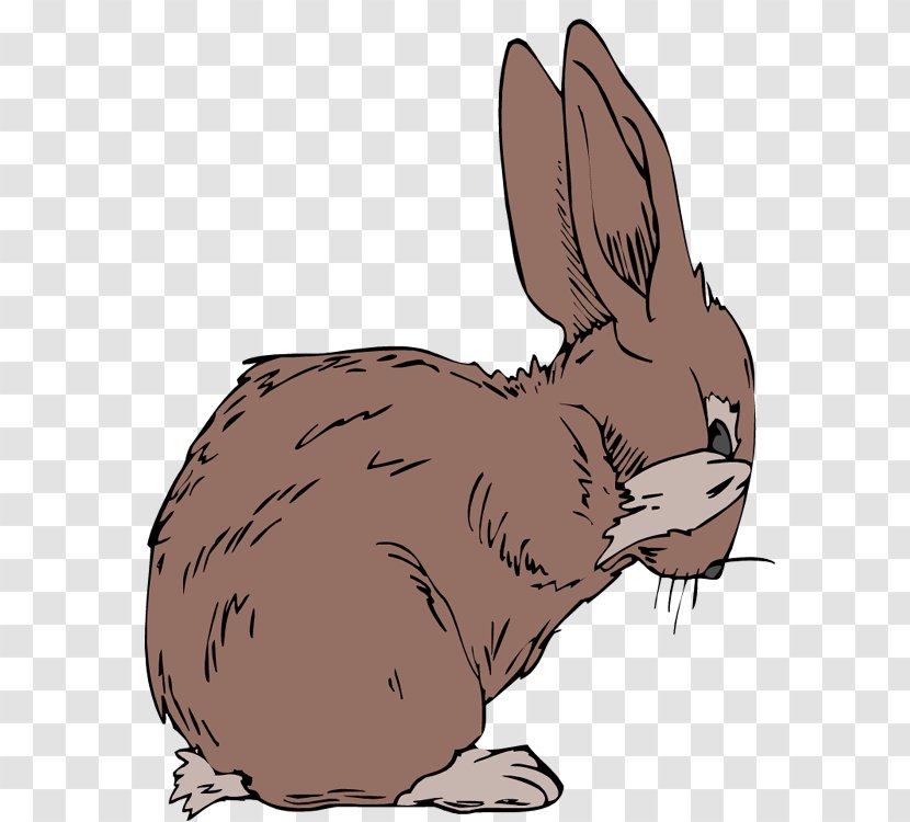 Arctic Hare Domestic Rabbit The Velveteen Animal - Paw - Rabit Transparent PNG