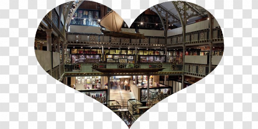 Pitt Rivers Museum Bodleian Library Sheldonian Theatre Art - England - Virtual Transparent PNG