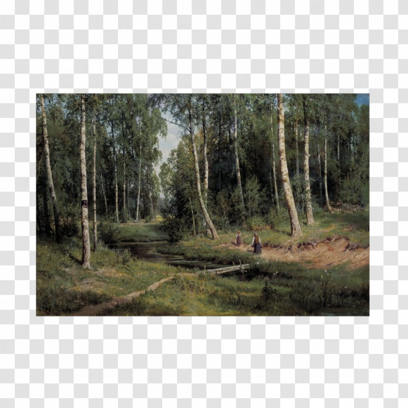 Birch Forest In The Tree Countess Mordvinova's Wood. Peterhof Landscape Painting Realism - Old Growth - Russia Transparent PNG