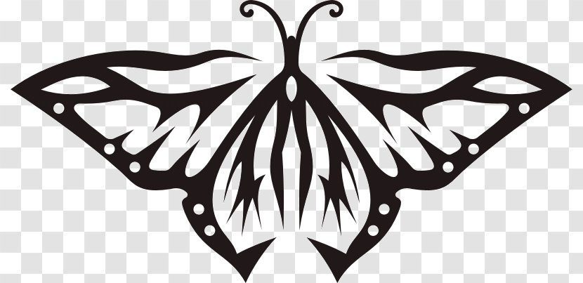 Abziehtattoo Monarch Butterfly Drawing Clip Art - Monochrome - Design Transparent PNG