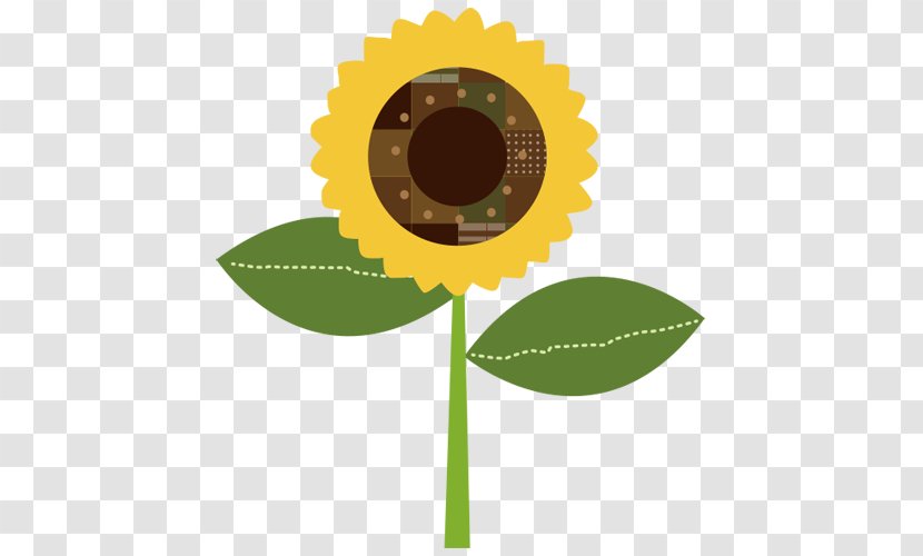 Sunflower, Flower. - Matriculation - Plant Transparent PNG