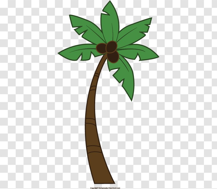 Tree Arecaceae Clip Art - Plant Stem - Palmleaf Transparent PNG