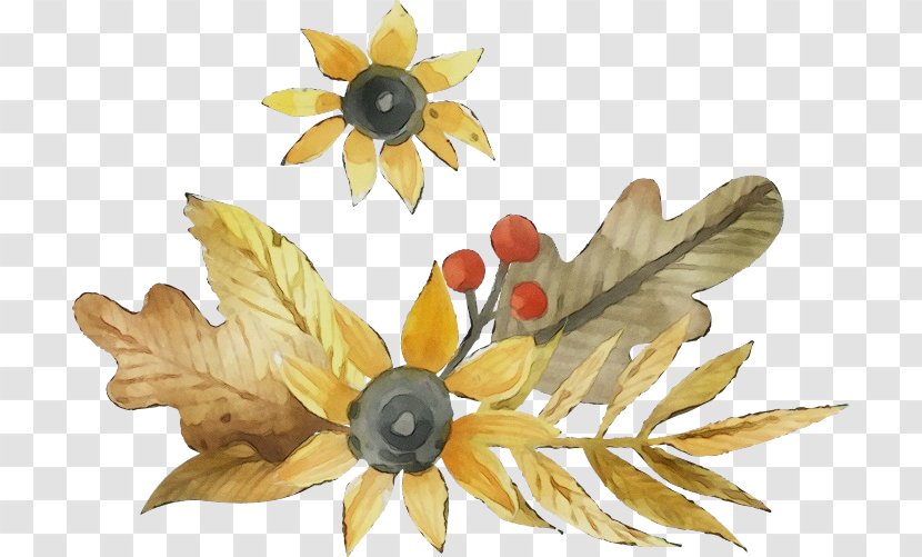 Watercolor Flower Background - Petal - Sunflower Wildflower Transparent PNG