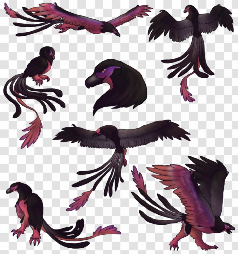 Beak Fauna Feather - Purple Transparent PNG