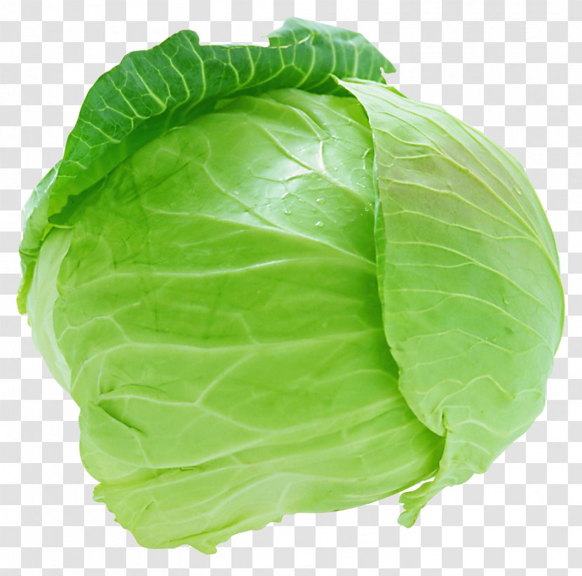 Red Cabbage Vegetable Cauliflower - Romaine Lettuce - Image Transparent PNG