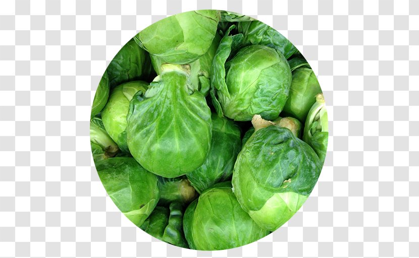 Brussels Sprout Cabbage Collard Greens Spring - Vegetable - Sprouts Transparent PNG