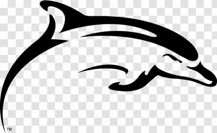 Le Moyne College Dolphins Men's Basketball Adelphi University Chowan - Columbia - Lacrosse Transparent PNG