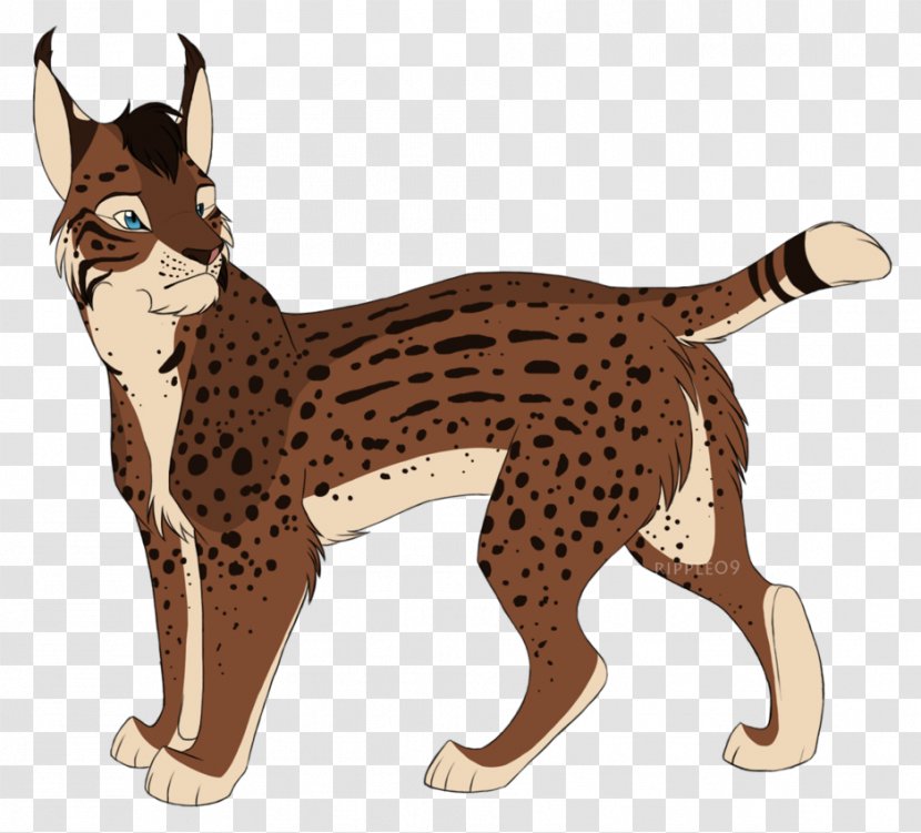 Whiskers Cat Dog Terrestrial Animal Canidae - Cartoon - Eurasian Lynx Transparent PNG