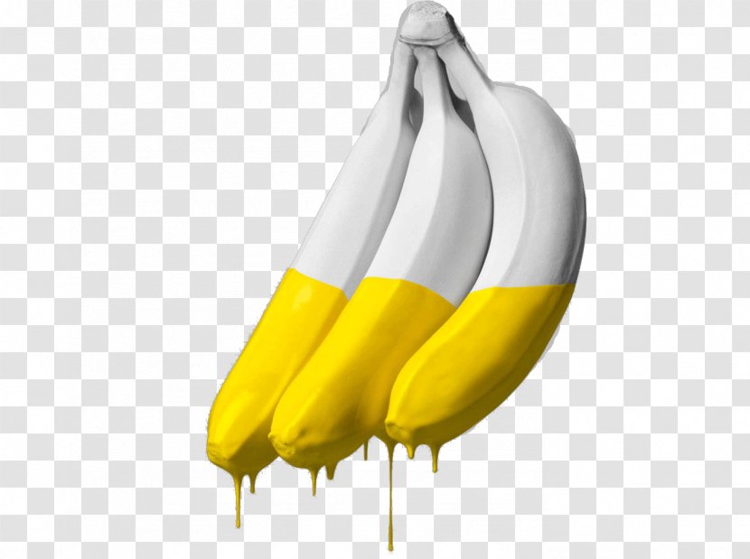 Banana - Family - Fruit Transparent PNG