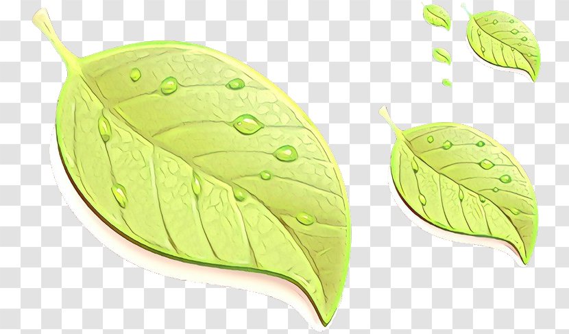 Leaf Green Plant Flower Tree - Cartoon - Flowering Transparent PNG