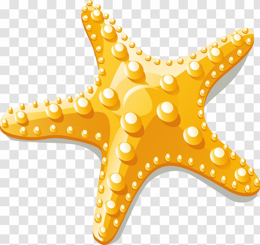 Starfish Euclidean Vector Clip Art - Dwg Transparent PNG