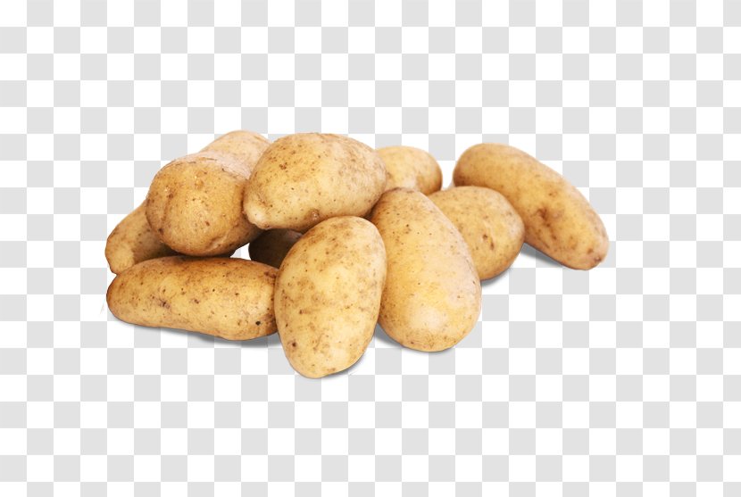 Russet Burbank Potato Fingerling Yukon Gold Irish Candy Tuber - Food Transparent PNG