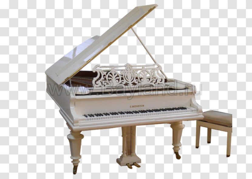 Fortepiano Digital Piano Player Spinet Transparent PNG