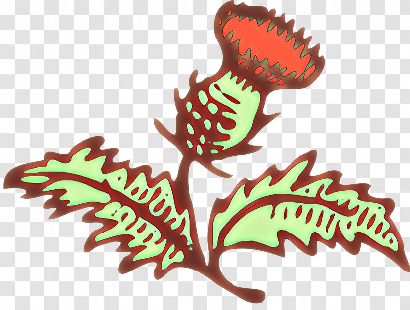 Flower Logo - Vascular Plant Transparent PNG
