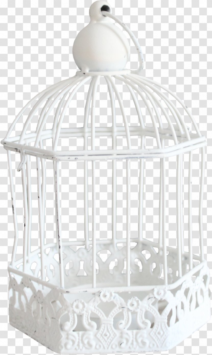 Birdcage Cell - Cage - Bird Transparent PNG