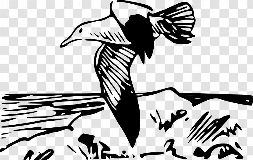 European Herring Gull Bird Clip Art - Cartoon Transparent PNG