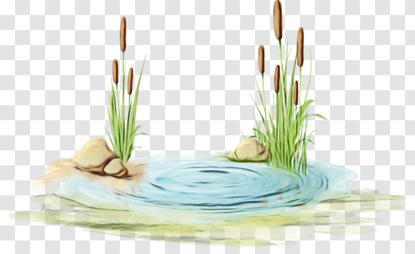 Watercolor Floral Background - Grass Family - Aquatic Plant Flower Transparent PNG