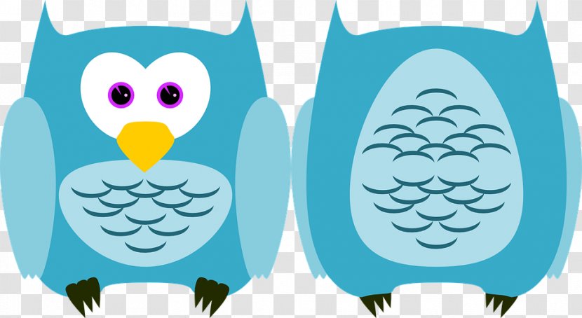 Owl Bird Beak Plumage Clip Art Transparent PNG