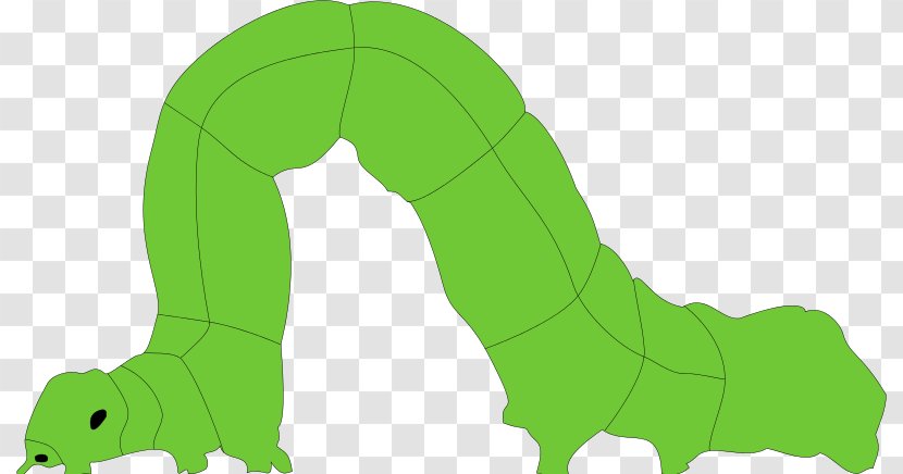 Mammal Cartoon Green Illustration - Fauna - Inch Worm Cliparts Transparent PNG