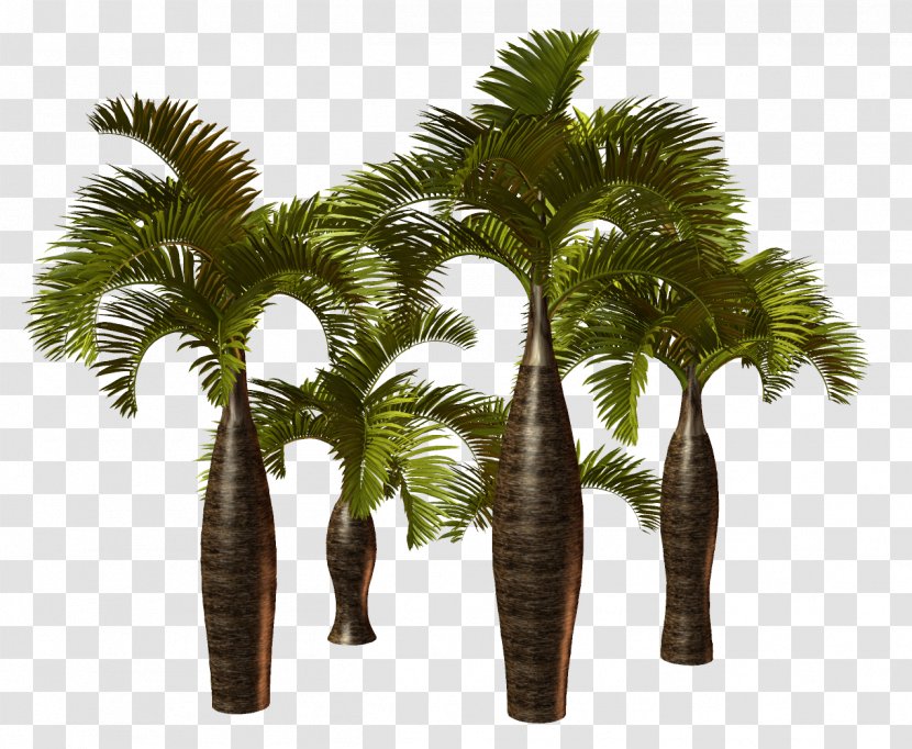 Palm Trees Clip Art California - Tree Transparent PNG