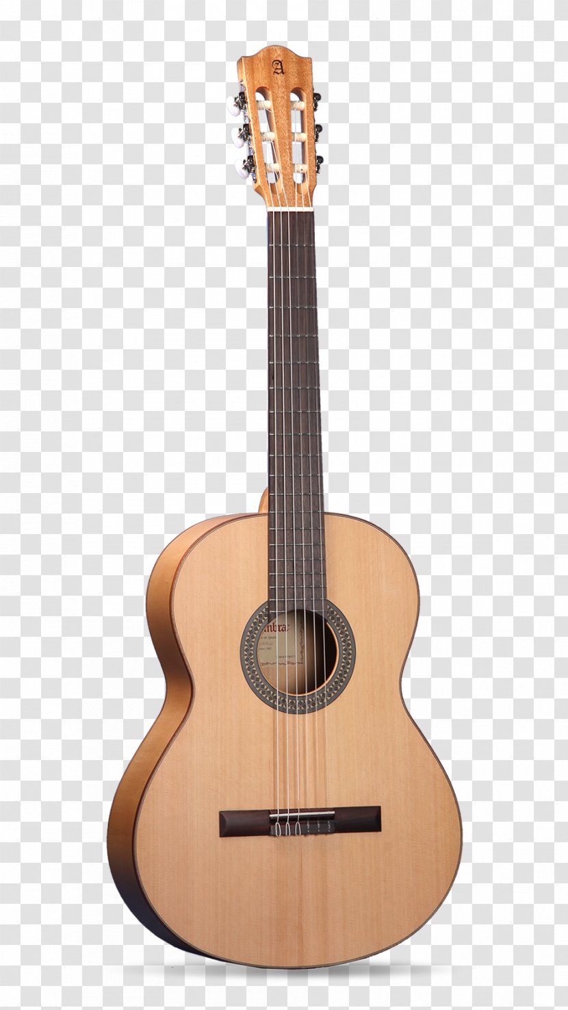 C. F. Martin & Company Acoustic-electric Guitar Classical Acoustic - Acousticelectric Transparent PNG