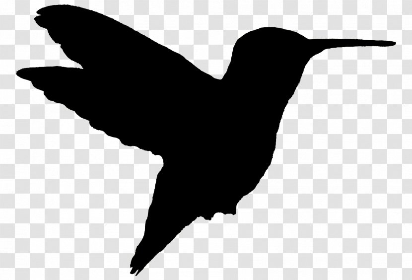 Hummingbird Woodpecker The Gardens At Calvary Silhouette - Monochrome Photography - Animal Silhouettes Transparent PNG