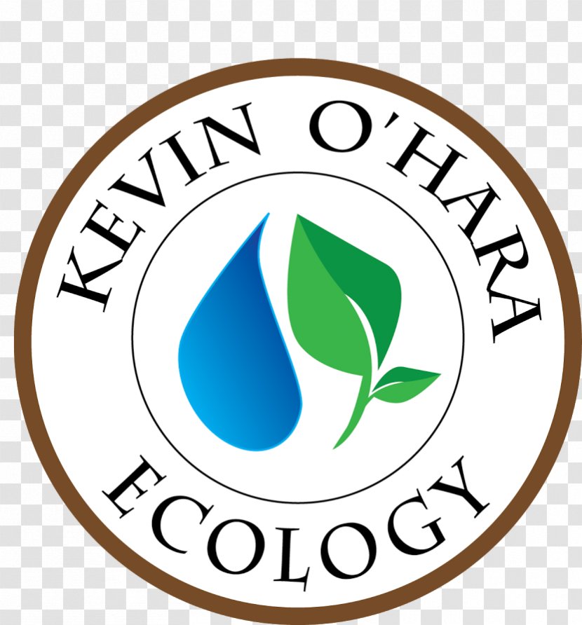 Clip Art Brand Logo Ecology Line - Area Transparent PNG