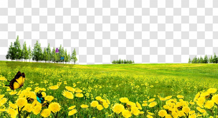 Family Poster Illustration - Farm - Yellow Chrysanthemum Hillside Background Material Transparent PNG