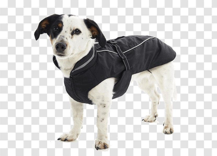 Jacket Coat Winter Clothing Lining - Breathability - Black Pepper Transparent PNG