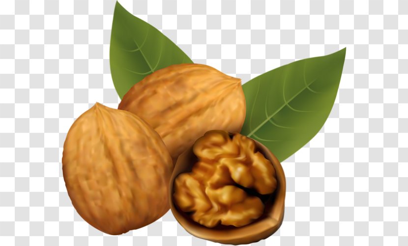 Walnut Clip Art - Superfood Transparent PNG