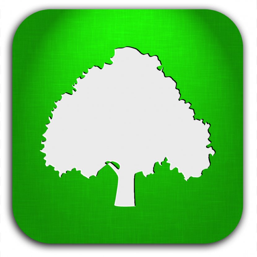 Tree Arborist - Silhouette - Icon Plan Transparent PNG