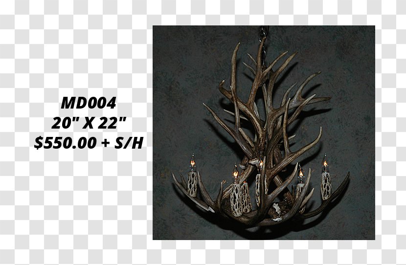 Antler White-tailed Deer Mule Chandelier - Color Transparent PNG