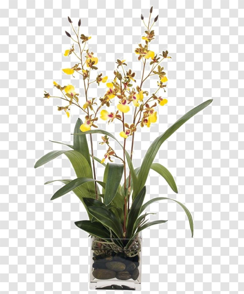 Vase Decorative Arts Flower - Plant Stem - Yellow Decoration Soft Furnishings Installed Transparent PNG
