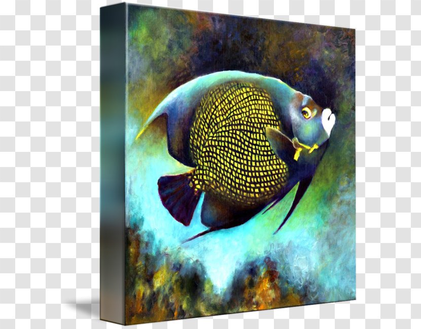 French Angelfish Emperor Coral Reef Fish - Pomacanthidae Transparent PNG