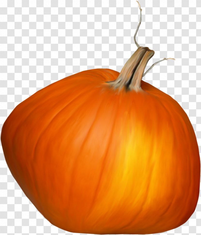 Calabaza Great Pumpkin Winter Squash Gourd - Halloween - Beautiful Orange Transparent PNG