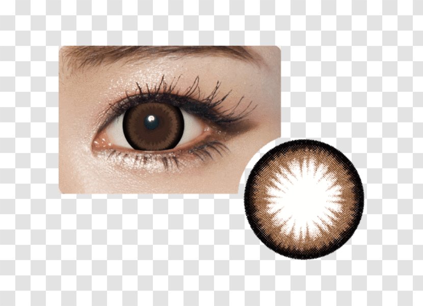 Circle Contact Lens Lenses Brown Eye Transparent PNG
