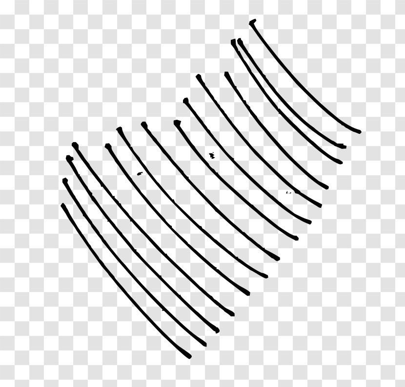Curve Line Drawing Clip Art - Black And White - Curved Transparent PNG