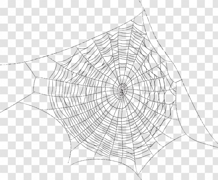 Spider Web Symmetry Pattern - Area - на прозрачном фоне Transparent PNG