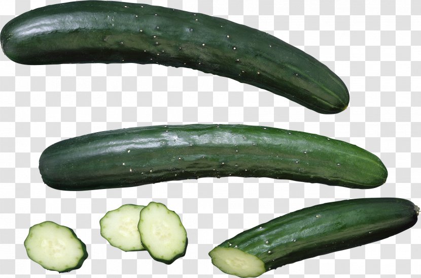 Pickled Cucumber Vegetable Seed Food Transparent PNG