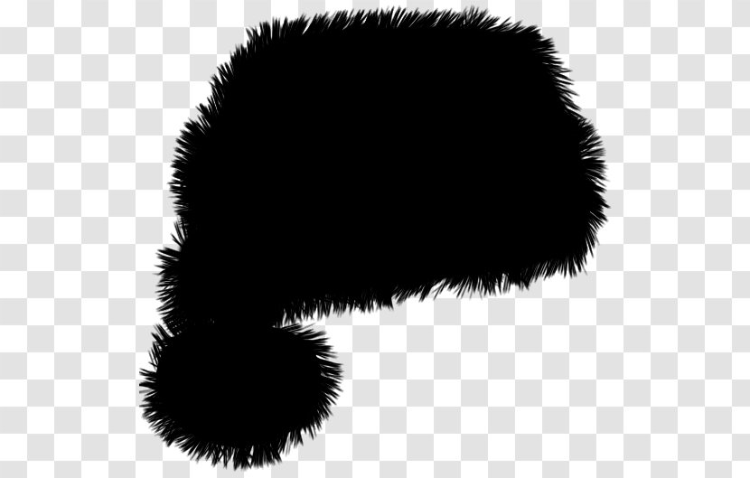 Black & White - M - Fur Snout Transparent PNG