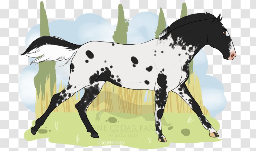 Stallion Mustang Pony Mare Halter - Queen Of Spades Transparent PNG