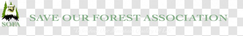 Brand Logo Eyelash Font - SAVE FOREST Transparent PNG
