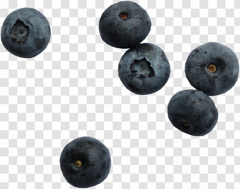 Blueberry Torte Bilberry Fruit - Berry Transparent PNG