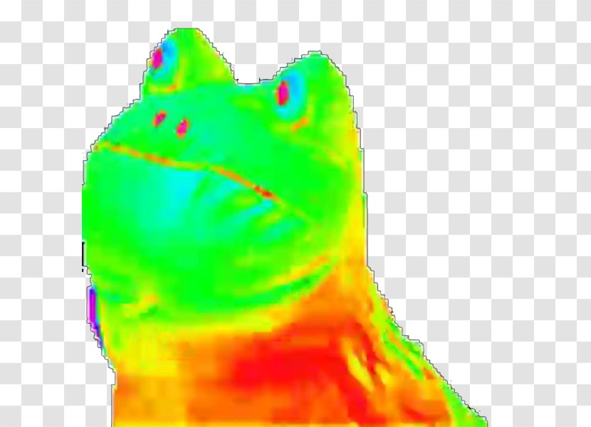 Frog Amphibians YouTube - Soysauce Transparent PNG