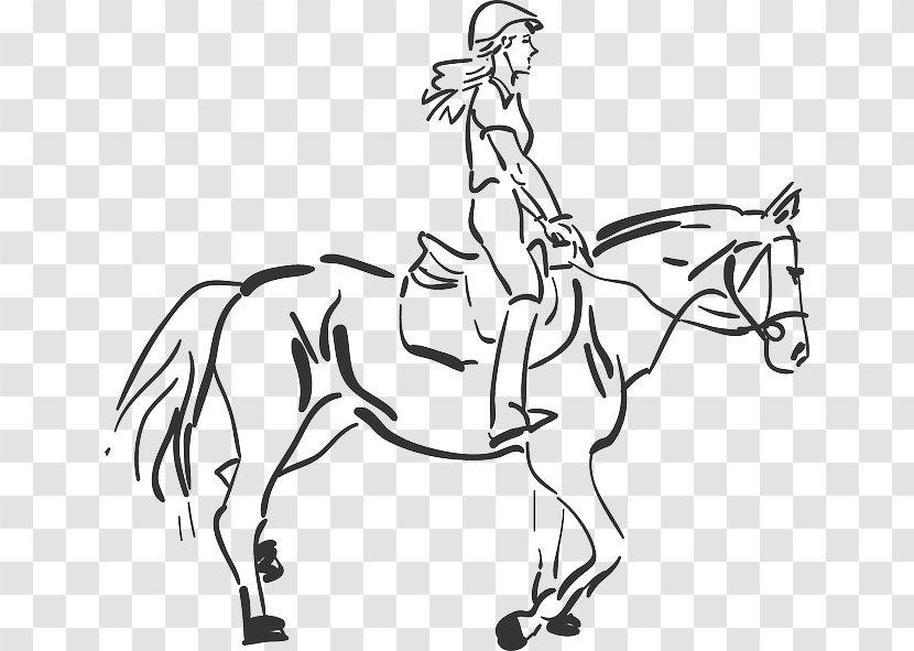 Horse Equestrian Clip Art - Bridle - Woman Printing Transparent PNG