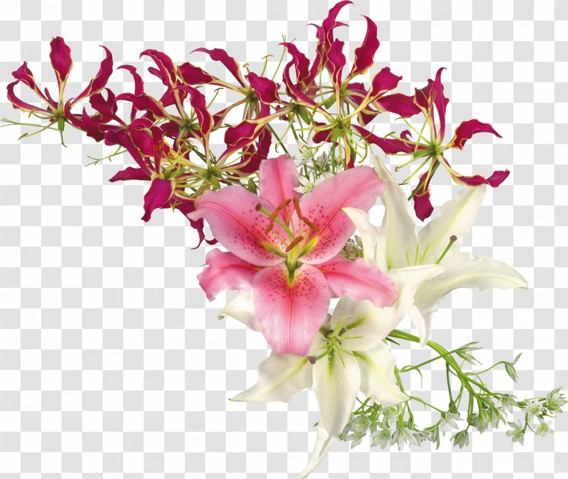 Flower Lilium Stamen Clip Art - Bouquet - Gladiolus Transparent PNG